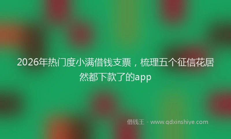 2026年热门度小满借钱支票，梳理五个征信花居然都下款了的app