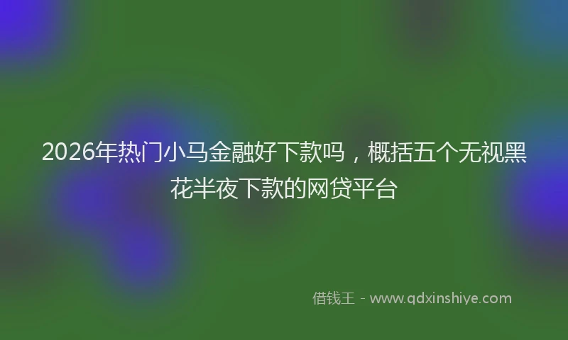 2026年热门小马金融好下款吗，概括五个无视黑花半夜下款的网贷平台