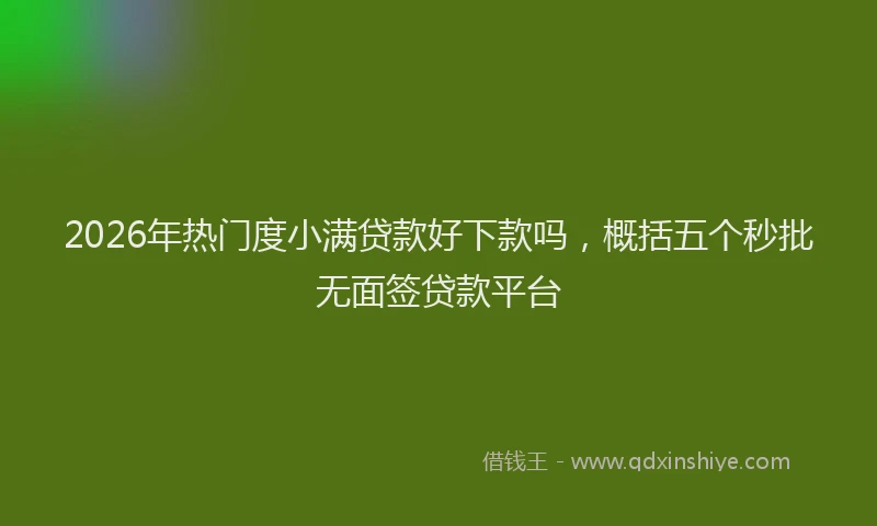 2026年热门度小满贷款好下款吗，概括五个秒批无面签贷款平台
