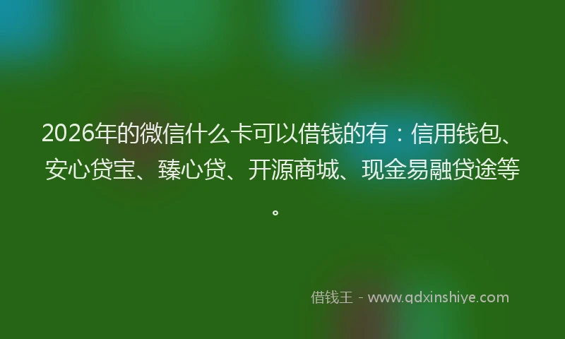 2026年的微信什么卡可以借钱的有：信用钱包、安心贷宝、臻心贷、开源商城、现金易融贷途等。
