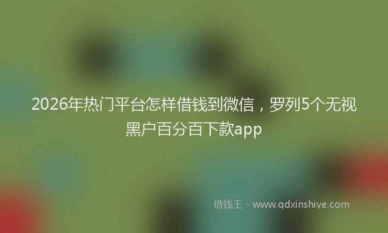 2026年热门平台怎样借钱到微信，罗列5个无视黑户百分百下款app