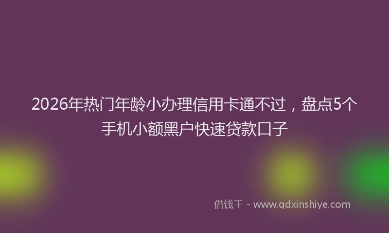 2026年热门年龄小办理信用卡通不过,盘点5个手机小额黑户快速贷款口子