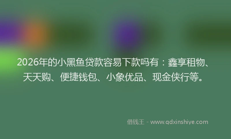 2026年的小黑鱼贷款容易下款吗有:鑫享租物、天天购、便捷钱包、小象优品、现金侠行等。