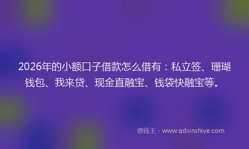 2026年的小额口子借款怎么借有：私立签、珊瑚钱包、我来贷、现金直融宝、钱袋快融宝等。