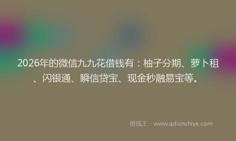 2026年的微信九九花借钱有：柚子分期、萝卜租、闪银通、瞬信贷宝、现金秒融易宝等。