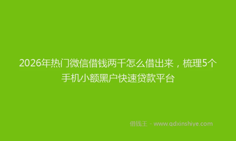 2026年热门微信借钱两千怎么借出来，梳理5个手机小额黑户快速贷款平台