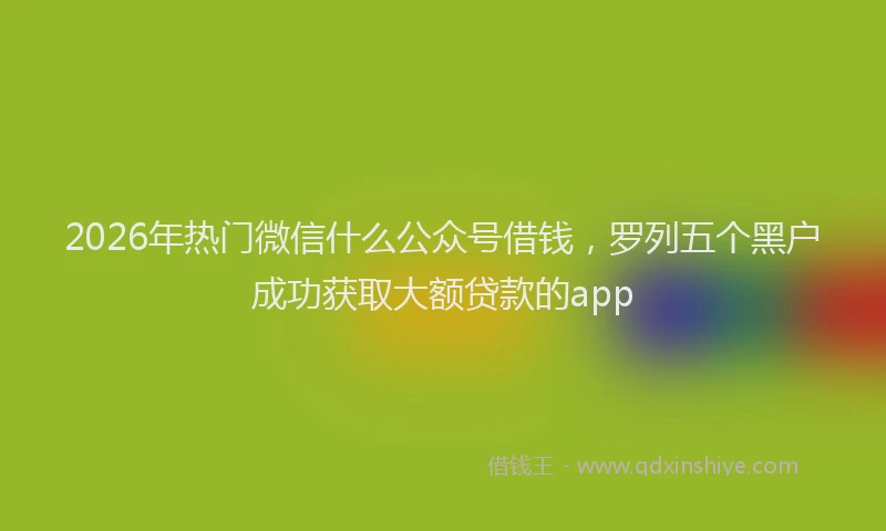 2026年热门微信什么公众号借钱，罗列五个黑户成功获取大额贷款的app