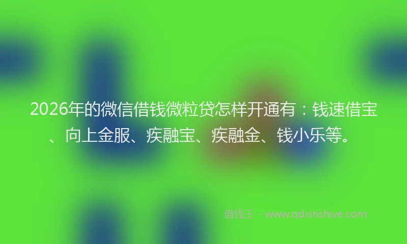 2026年的微信借钱微粒贷怎样开通有：钱速借宝、向上金服、疾融宝、疾融金、钱小乐等。