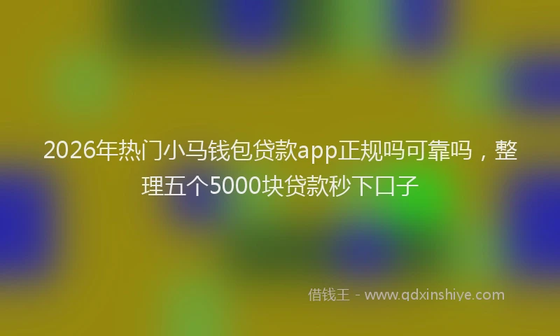 2026年热门小马钱包贷款app正规吗可靠吗，整理五个5000块贷款秒下口子