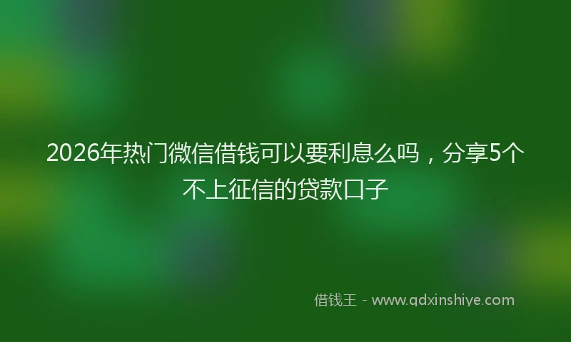 2026年热门微信借钱可以要利息么吗,分享5个不上征信的贷款口子