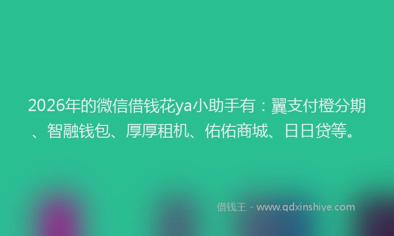 2026年的微信借钱花ya小助手有：翼支付橙分期、智融钱包、厚厚租机、佑佑商城、日日贷等。