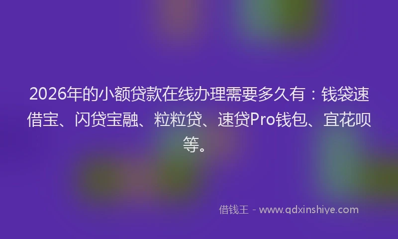 2026年的小额贷款在线办理需要多久有：钱袋速借宝、闪贷宝融、粒粒贷、速贷Pro钱包、宜花呗等。