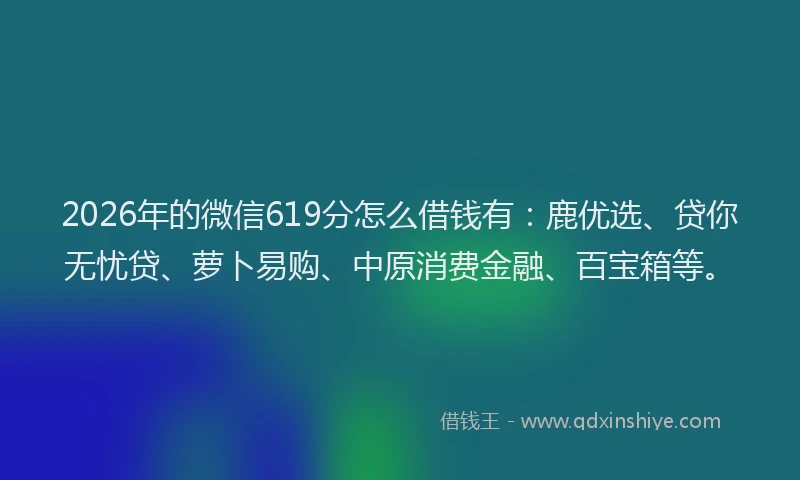2026年的微信619分怎么借钱有:鹿优选、贷你无忧贷、萝卜易购、中原消费金融、百宝箱等。