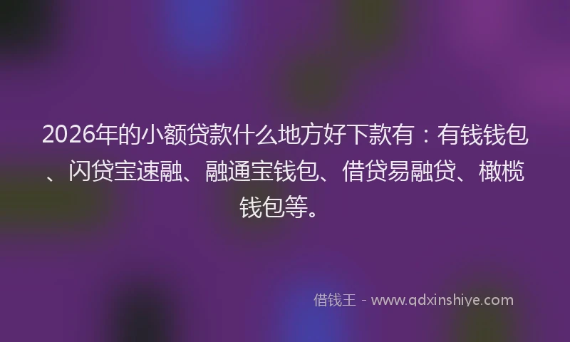 2026年的小额贷款什么地方好下款有：有钱钱包、闪贷宝速融、融通宝钱包、借贷易融贷、橄榄钱包等。