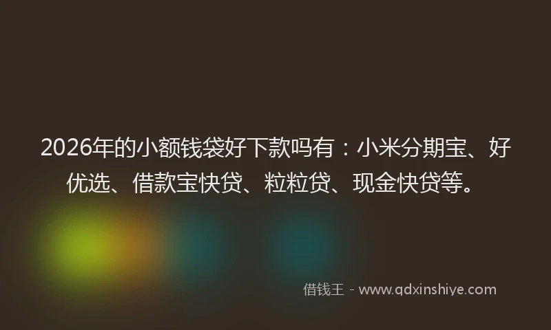 2026年的小额钱袋好下款吗有:小米分期宝、好优选、借款宝快贷、粒粒贷、现金快贷等。