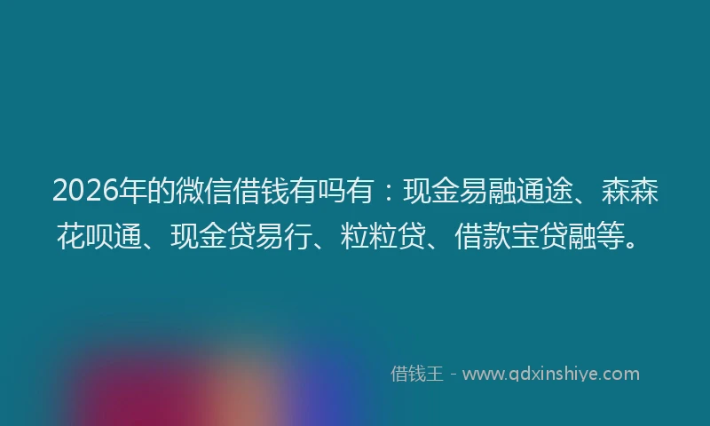 2026年的微信借钱有吗有：现金易融通途、森森花呗通、现金贷易行、粒粒贷、借款宝贷融等。
