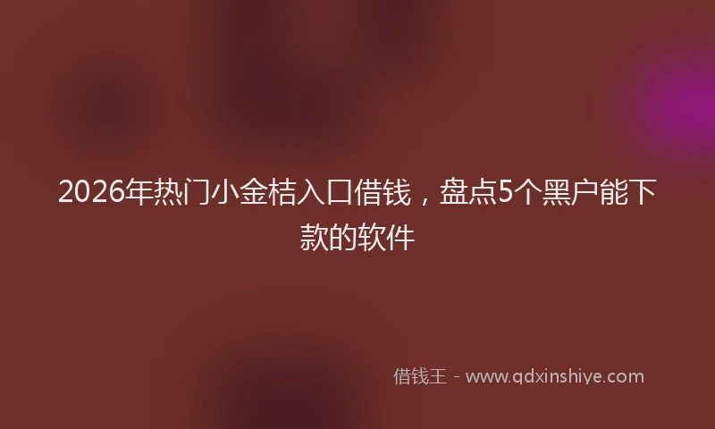 2026年热门小金桔入口借钱，盘点5个黑户能下款的软件