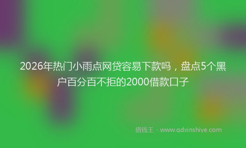 2026年热门小雨点网贷容易下款吗，盘点5个黑户百分百不拒的2000借款口子