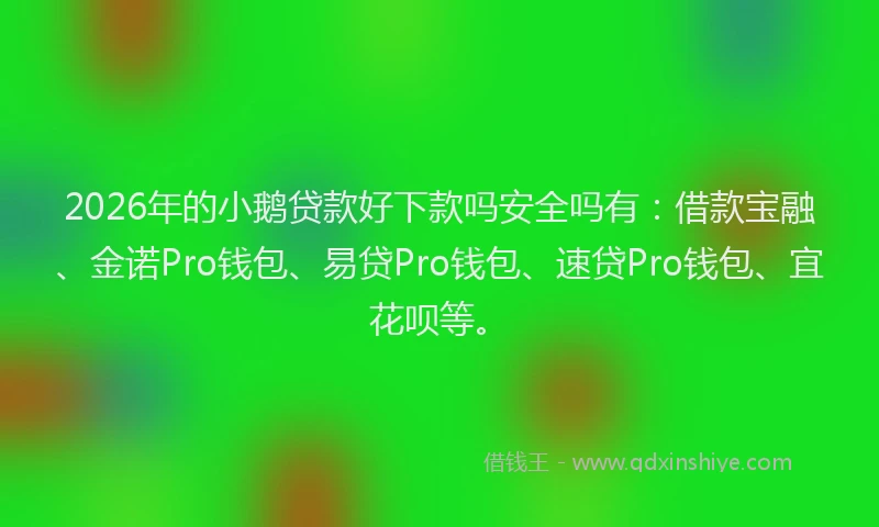 2026年的小鹅贷款好下款吗安全吗有：借款宝融、金诺Pro钱包、易贷Pro钱包、速贷Pro钱包、宜花呗等。