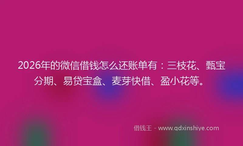 2026年的微信借钱怎么还账单有:三枝花、甄宝分期、易贷宝盒、麦芽快借、盈小花等。