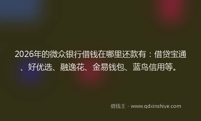 2026年的微众银行借钱在哪里还款有：借贷宝通、好优选、融逸花、金易钱包、蓝鸟信用等。