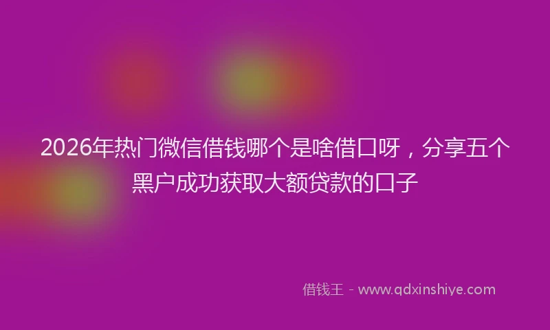 2026年热门微信借钱哪个是啥借口呀，分享五个黑户成功获取大额贷款的口子