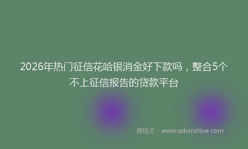 2026年热门征信花哈银消金好下款吗，整合5个不上征信报告的贷款平台