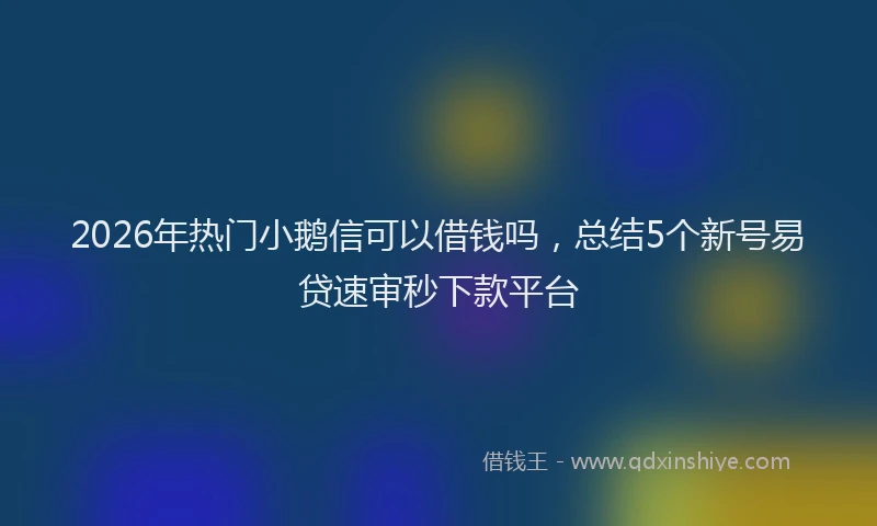 2026年热门小鹅信可以借钱吗，总结5个新号易贷速审秒下款平台
