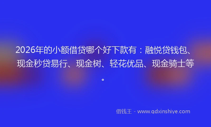 2026年的小额借贷哪个好下款有:融悦贷钱包、现金秒贷易行、现金树、轻花优品、现金骑士等。