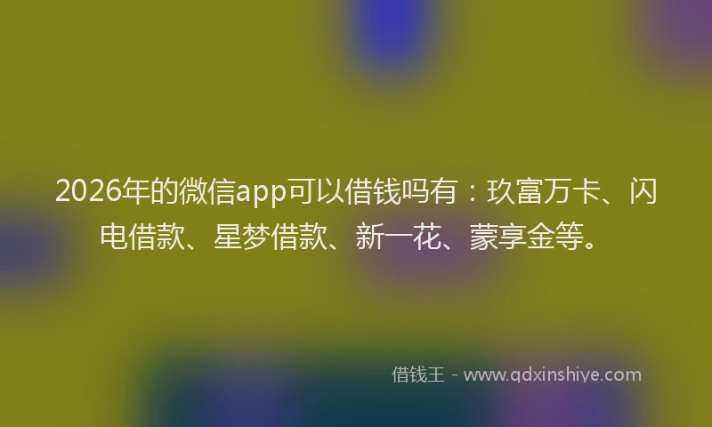 2026年的微信app可以借钱吗有：玖富万卡、闪电借款、星梦借款、新一花、蒙享金等。