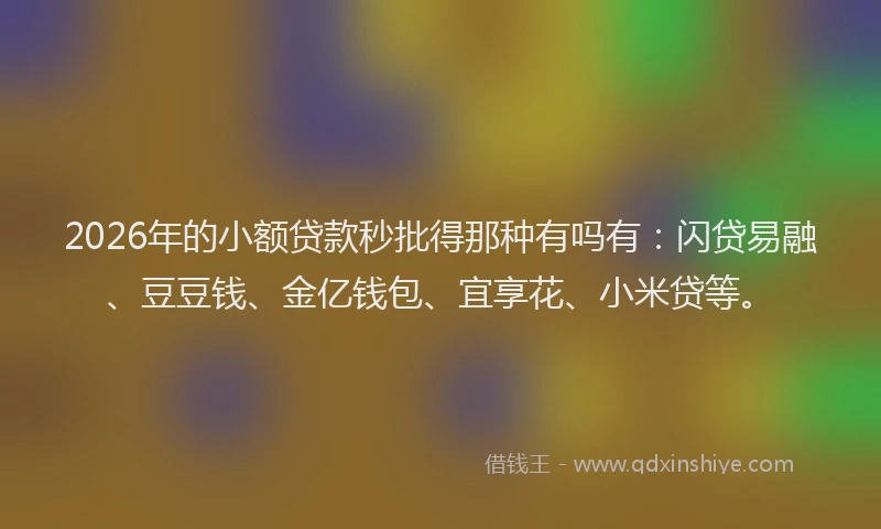 2026年的小额贷款秒批得那种有吗有：闪贷易融、豆豆钱、金亿钱包、宜享花、小米贷等。