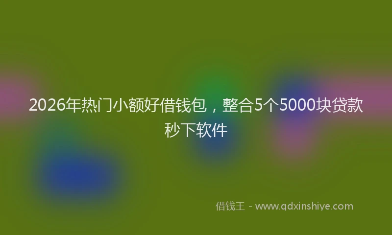 2026年热门小额好借钱包，整合5个5000块贷款秒下软件
