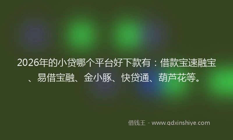 2026年的小贷哪个平台好下款有：借款宝速融宝、易借宝融、金小豚、快贷通、葫芦花等。