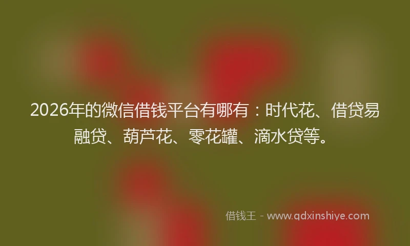 2026年的微信借钱平台有哪有：时代花、借贷易融贷、葫芦花、零花罐、滴水贷等。