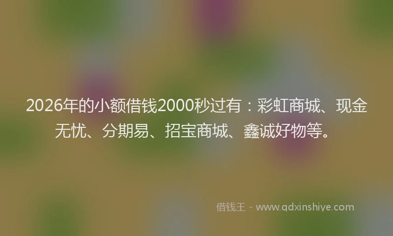 2026年的小额借钱2000秒过有：彩虹商城、现金无忧、分期易、招宝商城、鑫诚好物等。