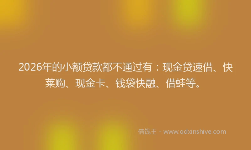 2026年的小额贷款都不通过有：现金贷速借、快莱购、现金卡、钱袋快融、借蛙等。