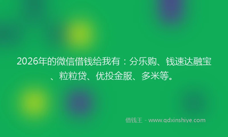 2026年的微信借钱给我有：分乐购、钱速达融宝、粒粒贷、优投金服、多米等。