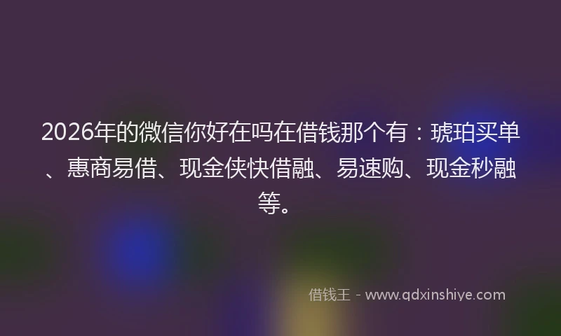 2026年的微信你好在吗在借钱那个有：琥珀买单、惠商易借、现金侠快借融、易速购、现金秒融等。
