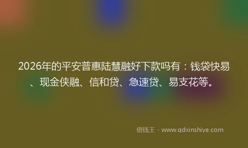 2026年的平安普惠陆慧融好下款吗有:钱袋快易、现金侠融、信和贷、急速贷、易支花等。
