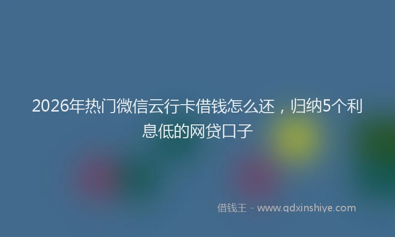 2026年热门微信云行卡借钱怎么还，归纳5个利息低的网贷口子