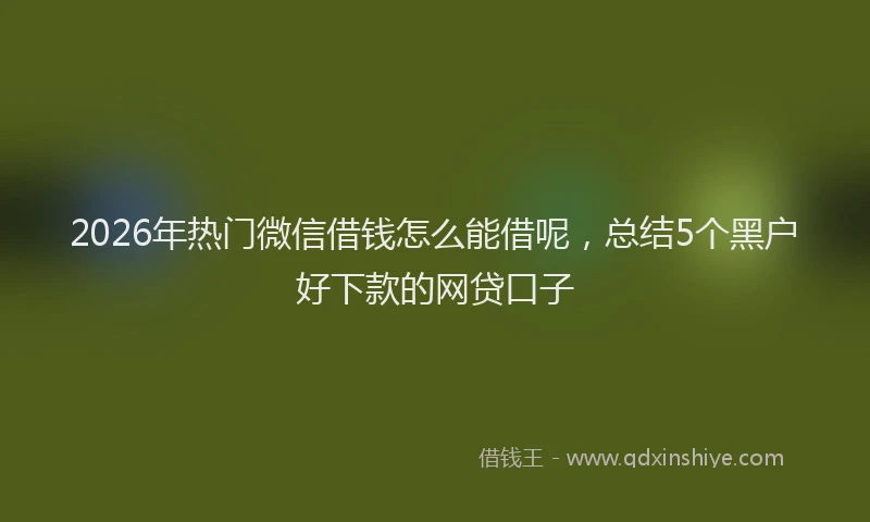2026年热门微信借钱怎么能借呢，总结5个黑户好下款的网贷口子