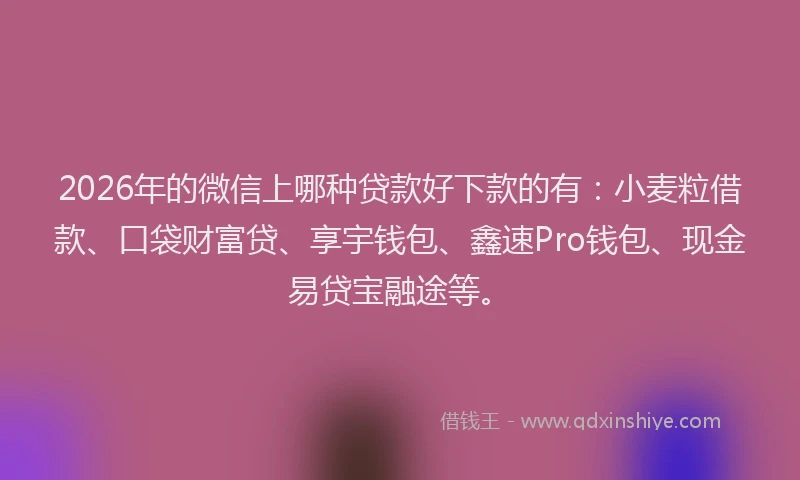 2026年的微信上哪种贷款好下款的有：小麦粒借款、口袋财富贷、享宇钱包、鑫速Pro钱包、现金易贷宝融途等。
