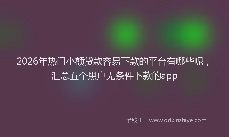 2026年热门小额贷款容易下款的平台有哪些呢，汇总五个黑户无条件下款的app