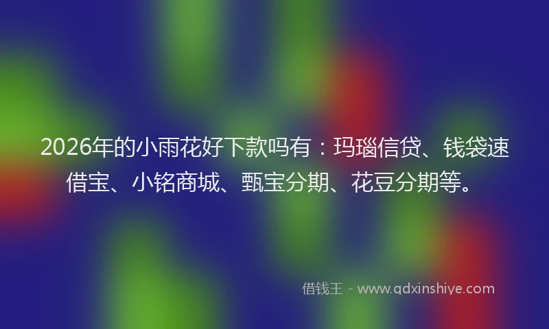 2026年的小雨花好下款吗有:玛瑙信贷、钱袋速借宝、小铭商城、甄宝分期、花豆分期等。