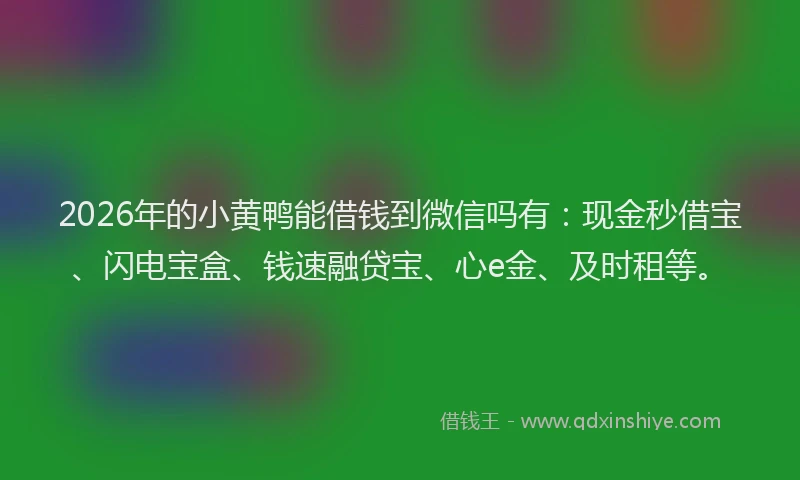 2026年的小黄鸭能借钱到微信吗有：现金秒借宝、闪电宝盒、钱速融贷宝、心e金、及时租等。