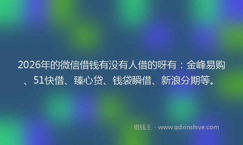 2026年的微信借钱有没有人借的呀有：金峰易购、51快借、臻心贷、钱袋瞬借、新浪分期等。