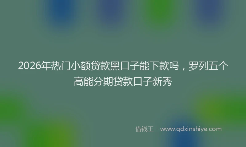 2026年热门小额贷款黑口子能下款吗，罗列五个高能分期贷款口子新秀