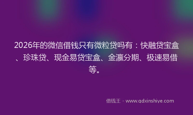 2026年的微信借钱只有微粒贷吗有:快融贷宝盒、珍珠贷、现金易贷宝盒、金瀛分期、极速易借等。
