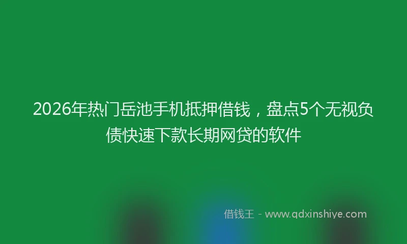 2026年热门岳池手机抵押借钱，盘点5个无视负债快速下款长期网贷的软件