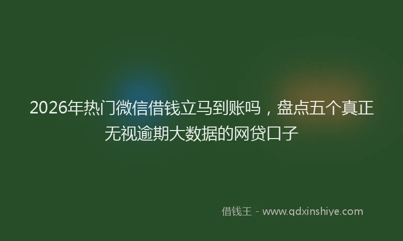 2026年热门微信借钱立马到账吗，盘点五个真正无视逾期大数据的网贷口子